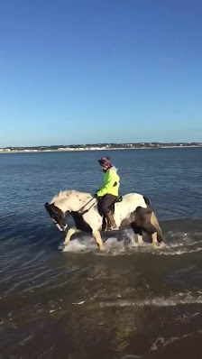 Studland Trekking Centre thumb 9